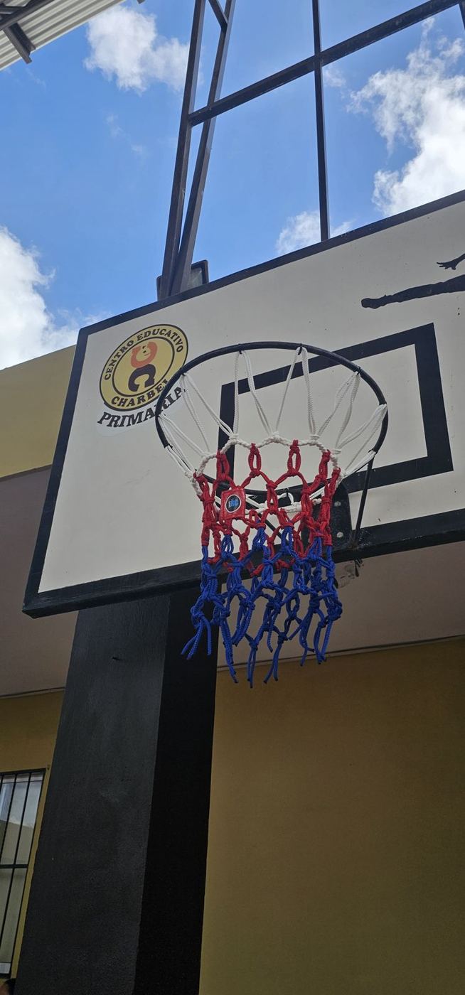 Red de básquetbol tricolor en el tablero del patio de una escuela